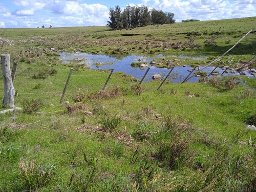 Campo De 140 Hectáreas Con Costa De Arroyo
