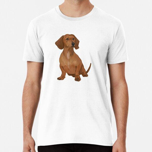 Remera Perro Salchicha Dibujado A Mano Algodon Premium