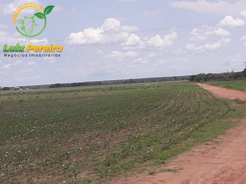 Imagem 2 de 13 de Fazenda À Venda Em Peixe - To - De 185 Alqueirões (dupla Aptidão) - 1727