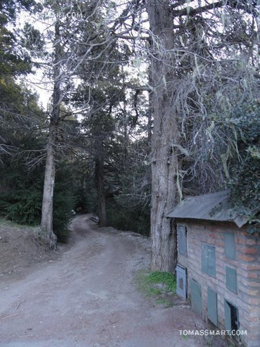 Imagen 7 de 8 de Terreno - Bariloche