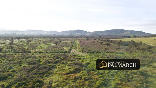 Parcelas En Venta En Ninhue Región De Ñuble