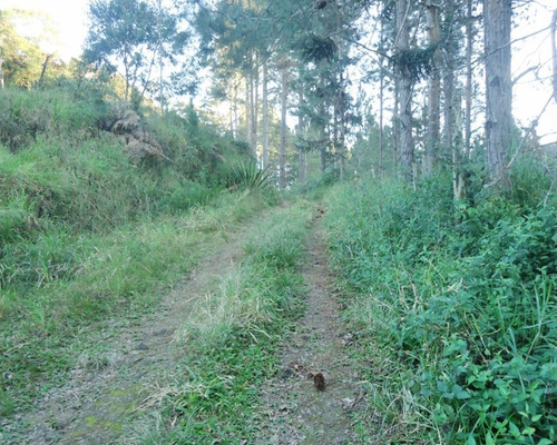 Imagem 16 de 16 de Sítio À Venda Em Juquitiba - 240 - 32982597