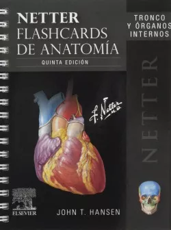 Netter. Flashcards De Anatomía. Tronco Y Órganos Internos | Cuotas sin ...