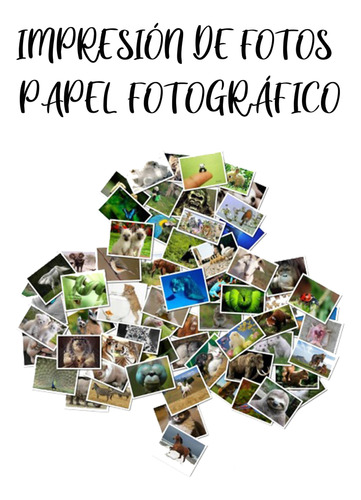 Impresión 100 Fotos Tamaño 6 X8   Papel Fotográfico