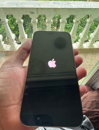 Apple Iphone 14 Pro Max (256 Gb) - Color Oro Dorado (Usado)