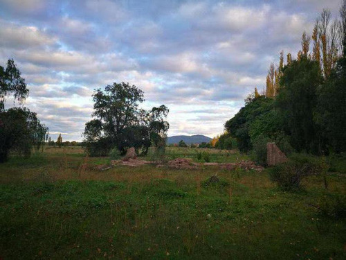 Finca De 22 Has En Rama Caida