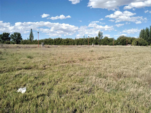 Imagen 6 de 11 de Terreno 1015 M2 Venta - Quintas De Sara F. Oro