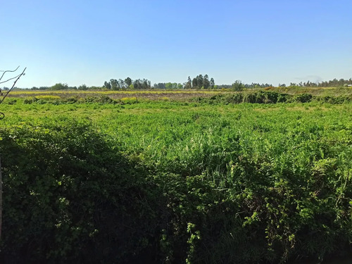 Terreno Agrícola De 6,8 Ha En Venta En San Clemente
