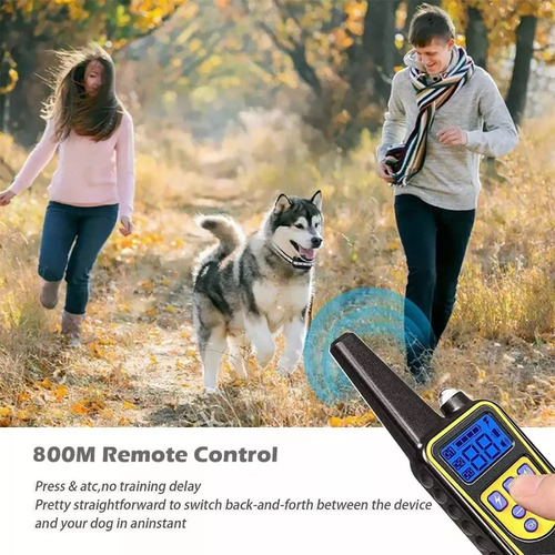Collar Electrónico Para Perros Con Un Alcance De 800 Metros