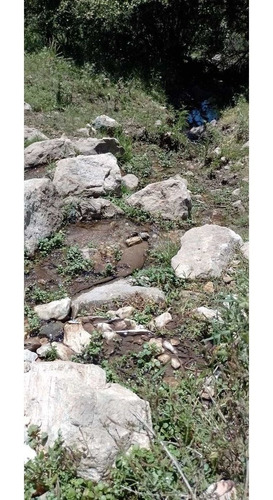 Imagen 3 de 11 de Terreno En La Falda