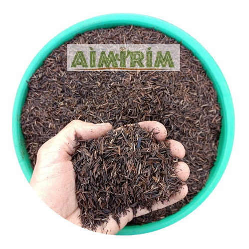 Palha De Arroz Carbonizada Para Suculentas Cactos 50 L