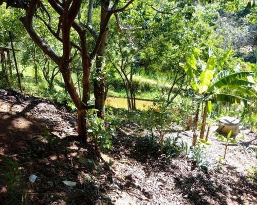 Imagem 11 de 21 de Chácara À Venda,5000.00 M², Bairro Da Pernambucana, Sao Jose Dos Campos - Sp - 2234