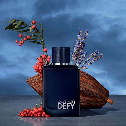 Perfume Calvin Klein Defy Eau De Parfum 50 Ml Para Hombre