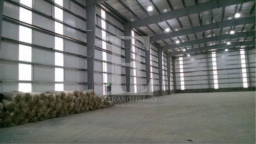 Imagen 8 de 11 de Venta C/renta Nave Industrial Triple A - Polo Ezeiza