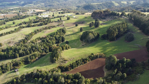 Imagen 2 de 16 de Campito De 7ha Mirador Del Mañio - Los Muermos