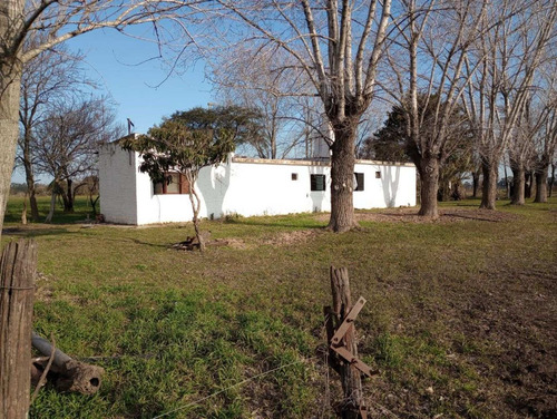 Imagen 3 de 17 de Venta Campo Quinta Chacra 7 Ha Virrey Del Pino