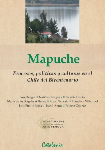 Libro Mapuche: Procesos, Políticas Y Culturas Catalonia