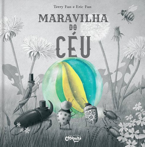 Maravilha do céu, de Fan, Terry & Eric. Editora Catapulta Editores Ltda, capa dura em português, 2022