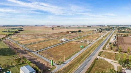 Imagen 2 de 7 de Lote De Terreno - Villa Amelia