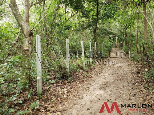 Imagem 5 de 8 de Vtp02275 Terreno Nisia Floresta, Com 39.346m2
