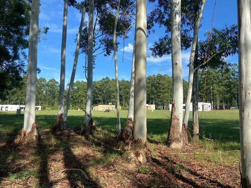 Imagen 2 de 30 de Lotes A La Venta En La Aldea Club De Campo - Colon Entre Rios Desde Usd 38.000!