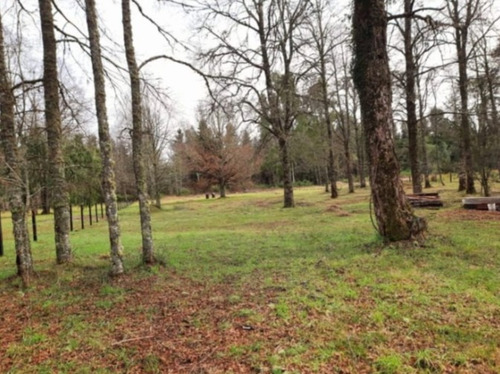 Venta! 2 Parcelas De 5000 Mts2 C/u En Sector Huite Los Lagos