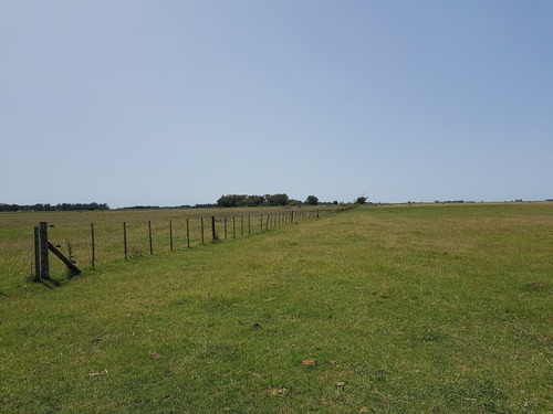 Imagen 9 de 9 de Campo En Venta. Gral Belgrano. Bs As.