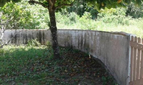 Imagem 5 de 14 de Imóvel De Laje No Jardim Grandesp, Em Itanhaém - 5810