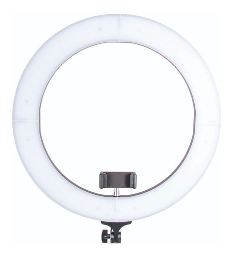 Luz contínua Tomate MLG-048 tipo aro cor branca quente e fria 100V/240V