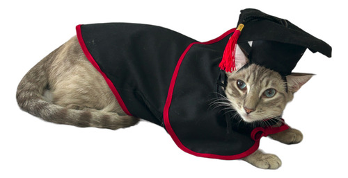 Disfraz De Graduado Para Mascotas Talla 2