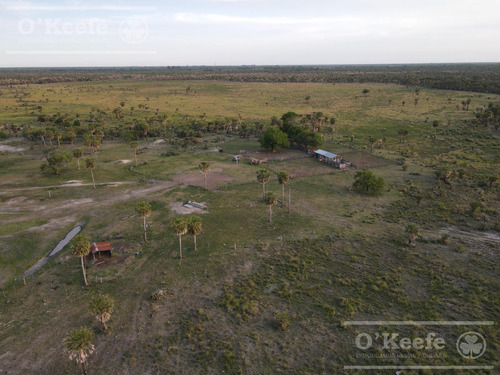 Campo En Venta 1217 Has En Villa Guillermina, Santa Fe.