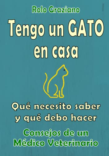 Tengo Un Gato En Casa: Que Necesito Saber Y Que Debo Hacer -