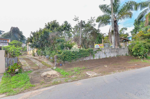 Imagem 6 de 8 de Terreno - Comercial/residencial - 155839