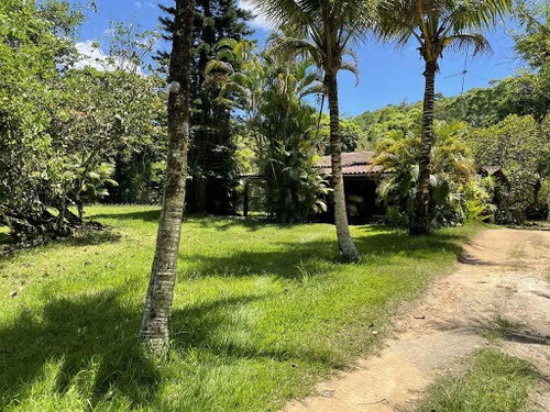 Imagem 2 de 20 de Lindo Sitio Na Estrada Italia Com Mais De 40 Arvores Frutíferas - Ca0405