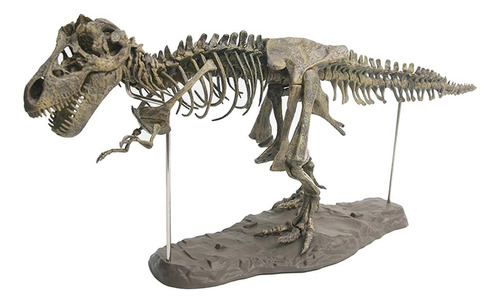 Modelo De Esqueleto De Dinosaurio: Ensamblaje Fósil De