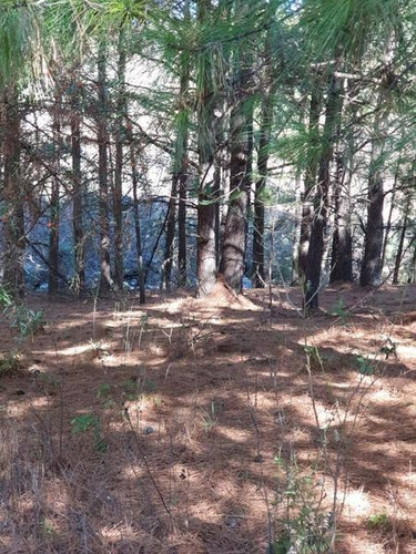 Imagen 4 de 6 de Lote En Venta, San Clemente, Santa Maria, Córdoba.