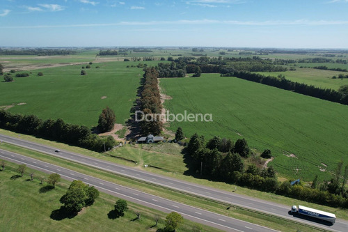 Imagen 12 de 16 de Campo En Venta - Cortines, Luján, G.b.a. Zona Oeste