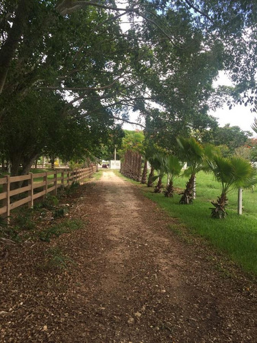 Imagen 11 de 25 de Terreno Sobre Avenida De Cuatro Carriles En Yucatán $320m2 -142m De Frente -71298m2- Tizimín