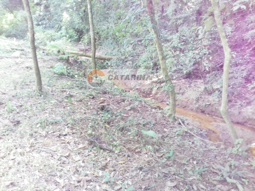Imagem 5 de 11 de ***chácara***