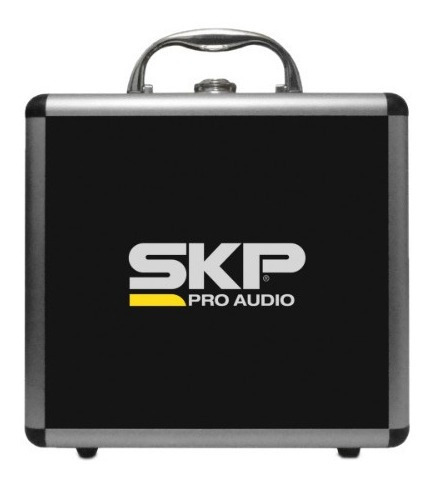 Micrófono Condensador Estudio Sks 420 Skp - Envío Gratis