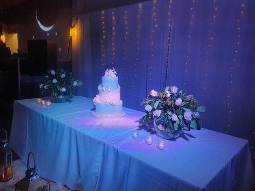 Imagen 3 de 5 de Decoración De Fiestas