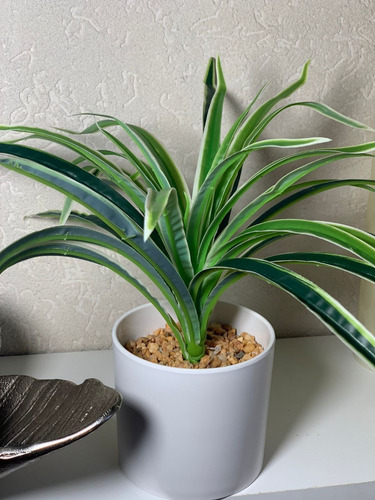 Imagen 4 de 10 de Plantas Artificiales De Escritorio Combo Pack X2
