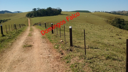 Venda - Fazenda - Zona Rural - Águas De Lindóia - Sp - D0336