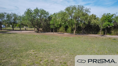 Terreno Doble/simple En Venta - Causana -