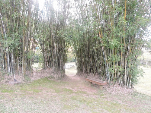 Imagem 8 de 28 de Terreno Para Venda, 0.0 M2, Aberta Dos Morros - Porto Alegre - 2035