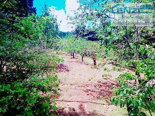 Imagem 10 de 20 de Chácaras À Venda Em Joanopolis/sp - Compre O Seu Chácaras Aqui! - 1133657