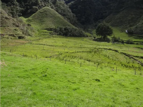 Finca En Venta La Unión Via Abejorral Antioquia. 83 Hectareas