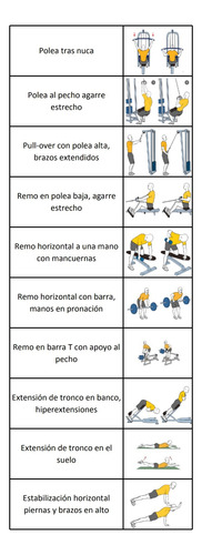 Creador De Rutinas Para Gimnasio