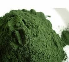 Spirulina En Polvo Espirulina Primera Calidad