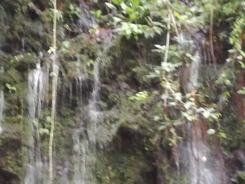 Imagen 3 de 4 de Vendo Finca